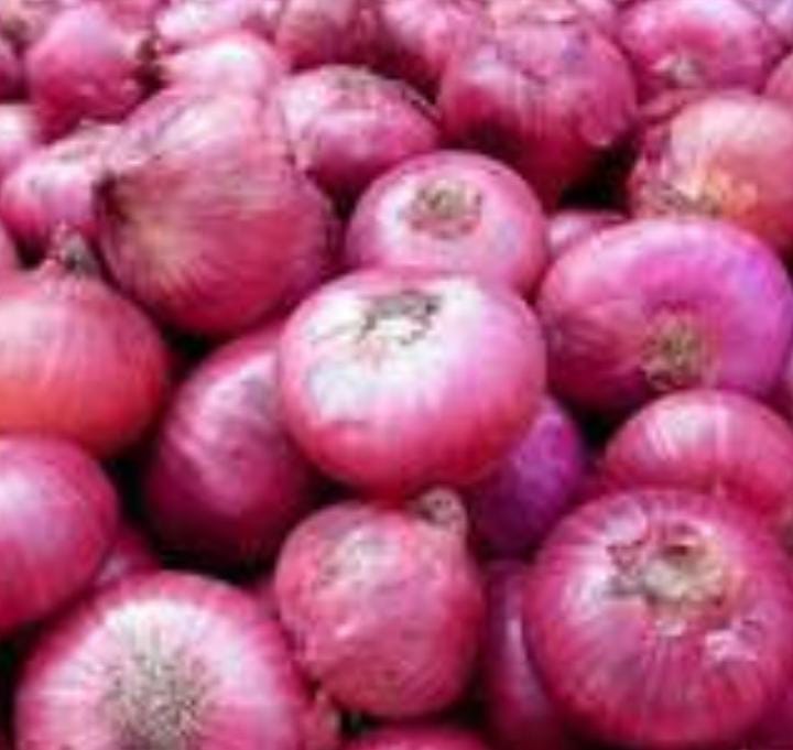 A Grade Red Onion, Packaging Size: 50 Kg, Onion Size