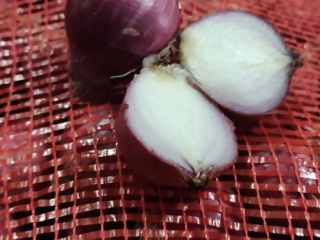 Fresh onions from MYANMAR Grade A Size 3 to