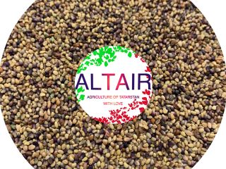 red clover high quality export product. Write to us