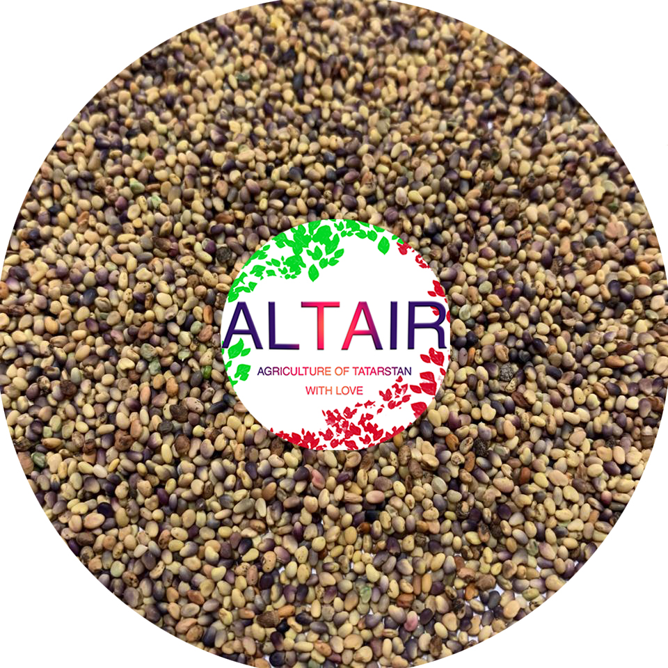 red clover high quality export product