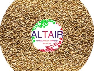timothy Product of high export quality. Write to us