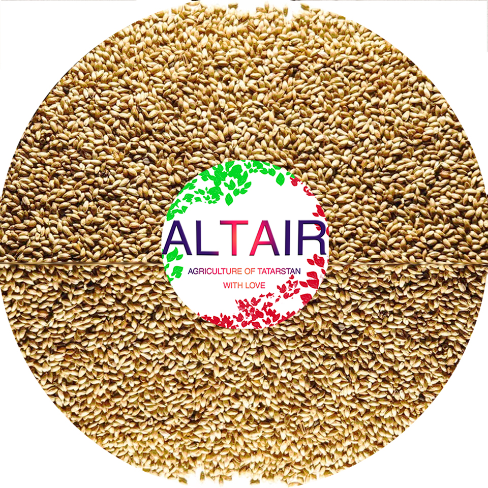timothy Product of high export quality