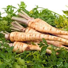 Persun and paskanat root or root with leaves, at the customer's request, packaging 5 kg or other, of Serbian origin