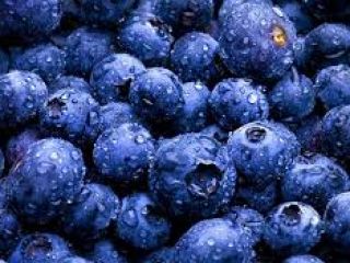 I will sell blueberries in bulk. Ukraine. We are