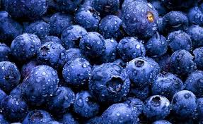 I will sell blueberries in bulk