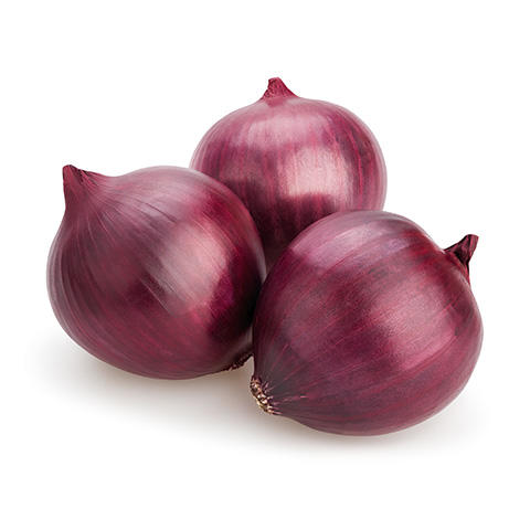 We are amongst the much-commended names betrothed in offering to our valued customers a world class spectrum of Red & Yellow Onion