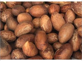 PRODUCT: KOLA NUTS ORIGIN: CAMEROON SPECIFICATION: Crude Protein (N