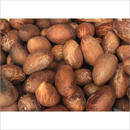 We feel proud to introduce ourselves as a well reputed exporter, distributor & supplier of Bitter Kola (Garcinia Kola)