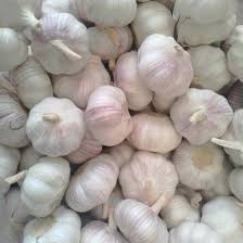 FRESH WHITE GARLIC Size of Bulb: 25-35mm, 35-40mm, 40mm+ (40-50mm) Colour: White Packing: 20/25/40kg mesh bag Harvesting time: February-March Month Best Buying