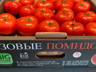 The Bigstore agrofirm offers an ecologically clean product, tomatoes