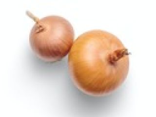 Hello. I am looking for producers of non-chamfered onion