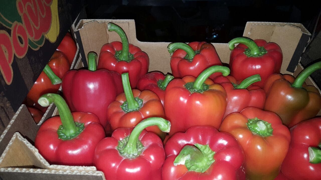 California Red Pepper for sale, cat 1, 80+, 5 kg carton
