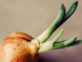 I will buy min. 25 tons of yellow onions,