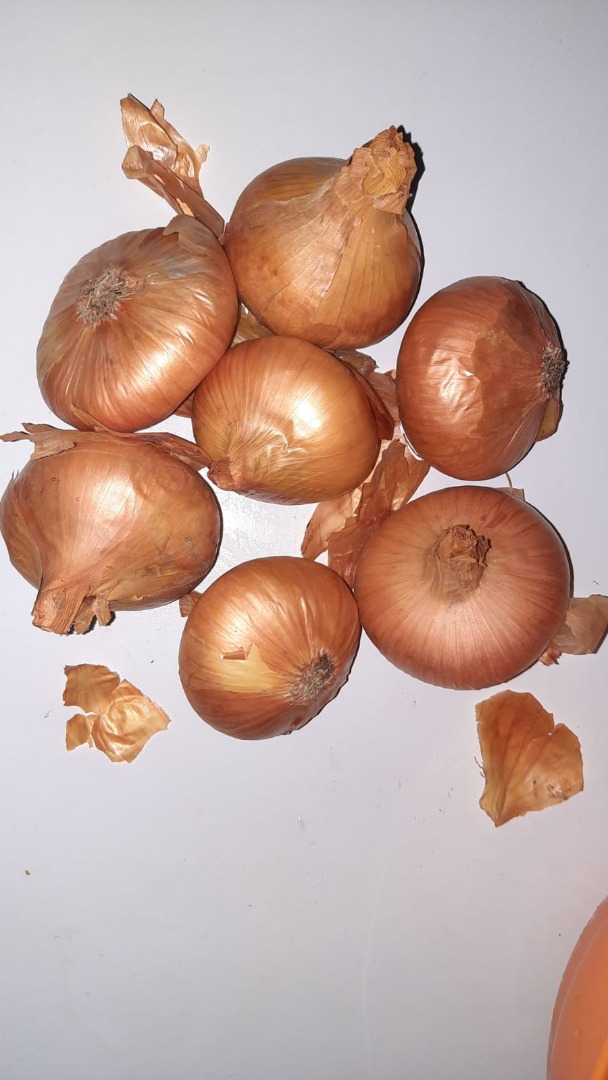 Romanian onion from chives production 2020