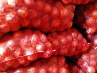 Onion of Serbian origin, caliber 50+, packing after agreement,