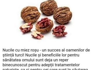 I am selling a Turkish red walnut kernel for