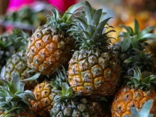 I will sell pineapples from Ecuador in bulk. Email