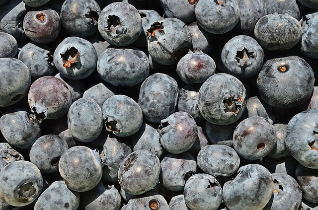I will sell American blueberry in bulk