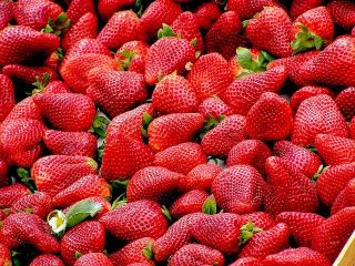 I will sell strawberries in bulk. Country of origin: