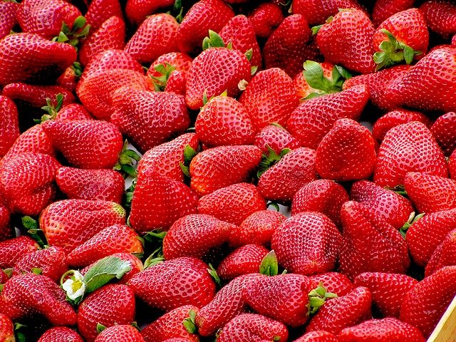 I will sell strawberries in bulk