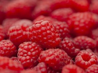 Wholesale quantities of raspberries for sale. Country of origin: