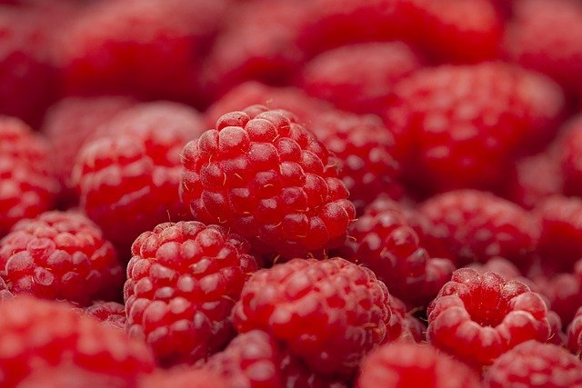 Wholesale quantities of raspberries for sale
