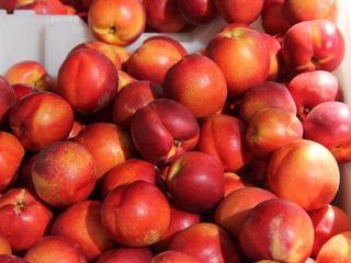 I will sell nectarines in bulk. Country of origin: