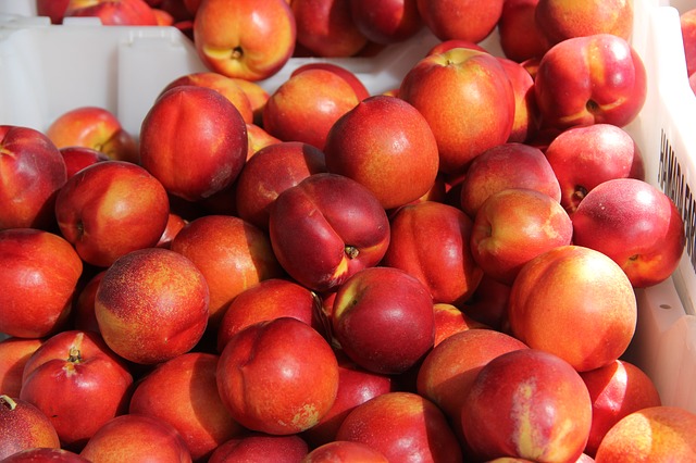 I will sell nectarines in bulk