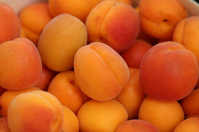 I will sell wholesale quantities of apricots