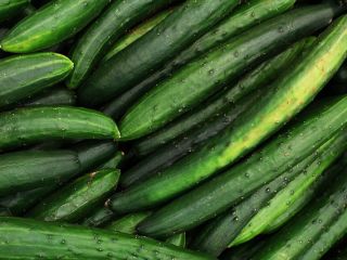 I will sell cucumbers in bulk. Country of origin: