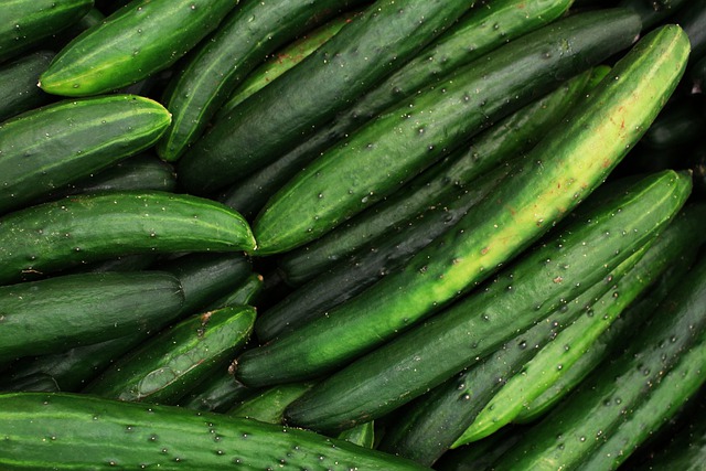 I will sell cucumbers in bulk