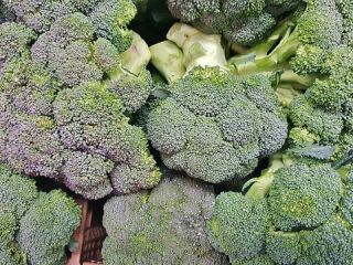 I will sell broccoli from Spain, wholesale quantities. Email