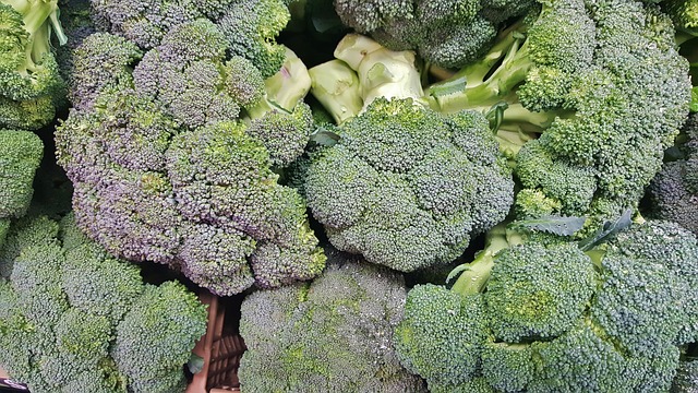I will sell broccoli from Spain, wholesale quantities