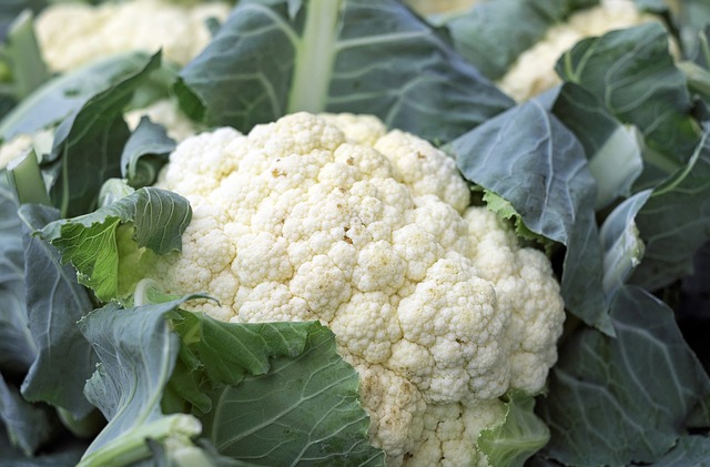 I will sell cauliflower from Spain, wholesale quantities