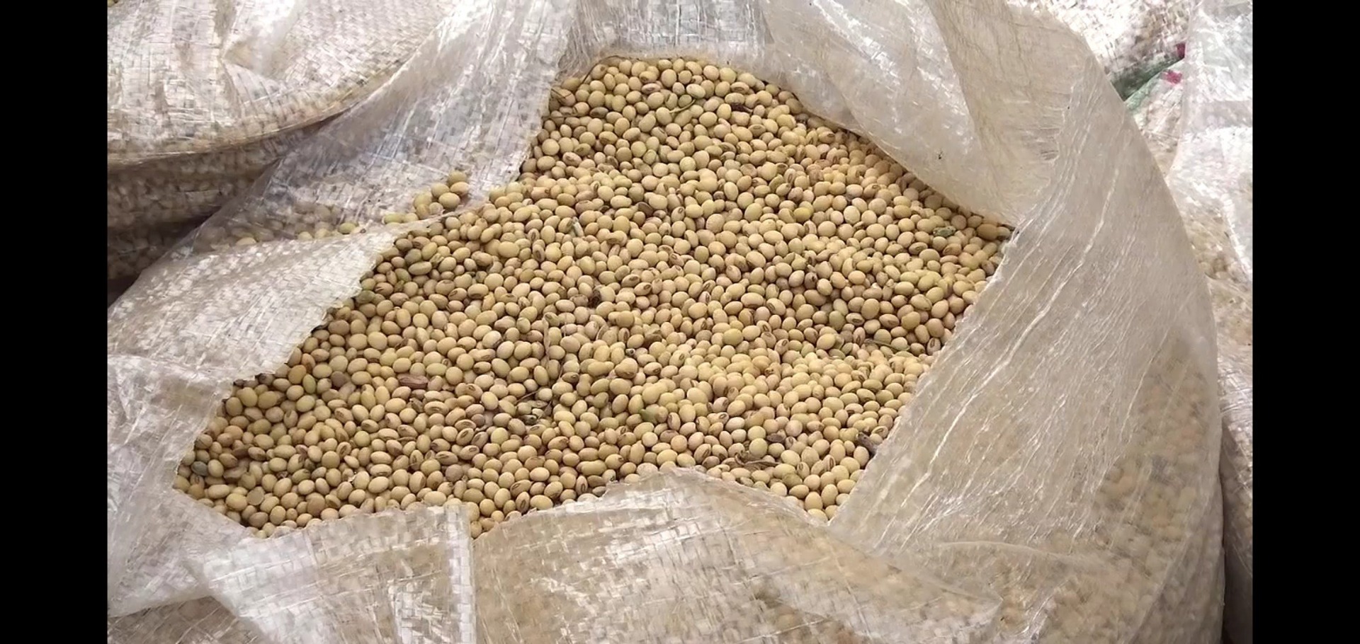 We sell good organic and conventional soybeans from West Africa