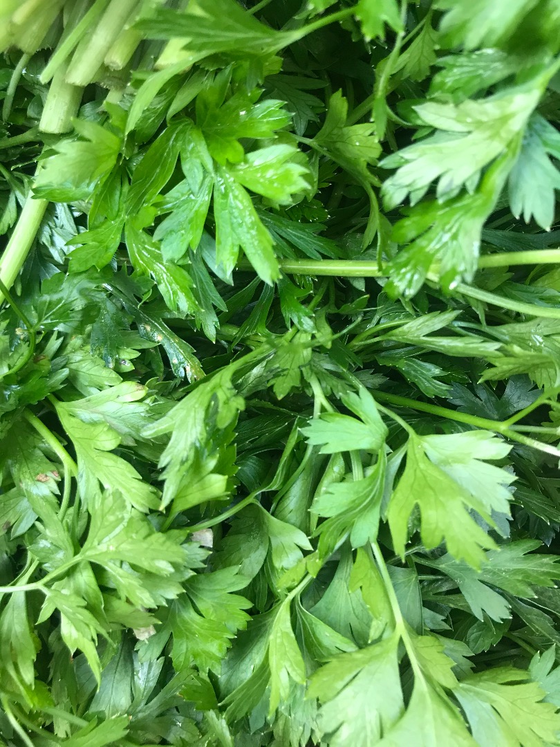 I will sell parsley, a beautiful dark green leaf