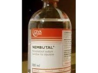 Buy high quality Nembutal from the best supplier in