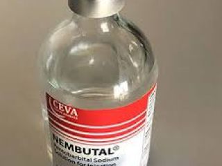 Do you want to buy Nembutal? DIGNITY HEALTHCARE GIVERS