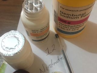 Sell Nembutal Pentobarbital Sodium We supply the best quality
