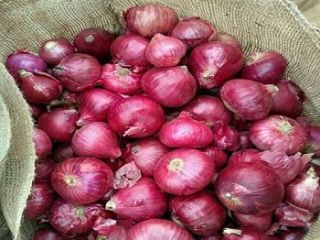 color red Varitey red onion Save time All year