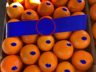 Size 5 sort NAVEL and NAVELINES