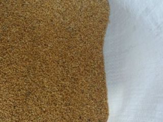 Millet for sale, purity from 98% to 99.9%, no