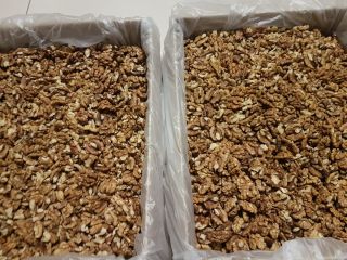 Light Shelled Walnut for sale. Mix 80/20 - 22