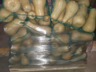 We sell fresh butternut squash. For questions, just let