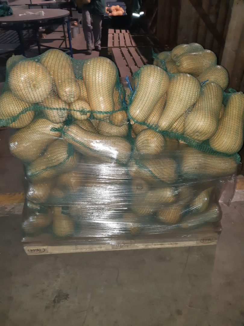 We sell fresh butternut squash