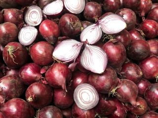 Red onions 30 tons of red 40 / 60mm