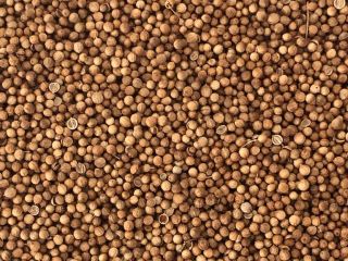 Excellent quality coriander, purity 2, halves 5, moisture 10.