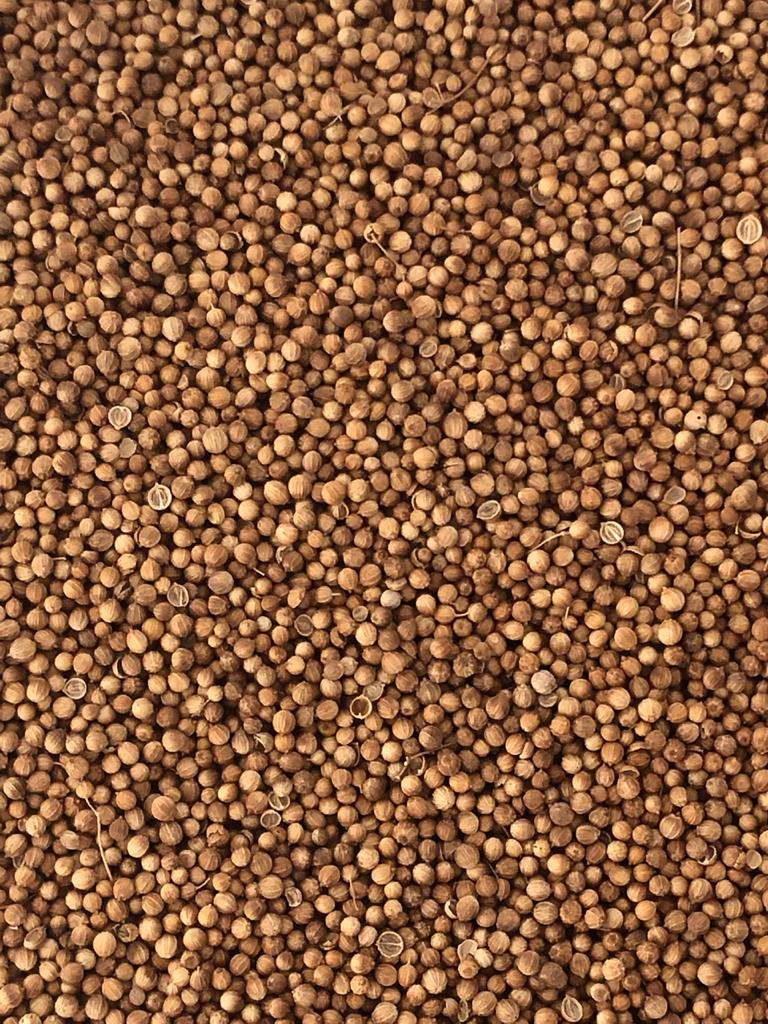Excellent quality coriander, purity 2, halves 5, moisture 10