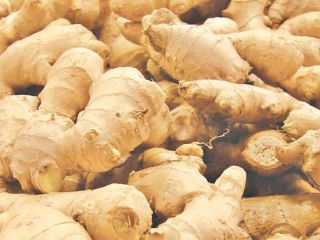 Fresh Ginger ready for export. Please contact me on
