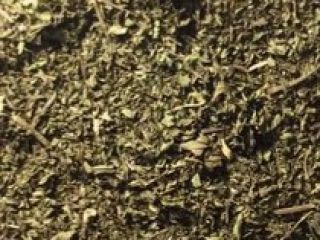 I will sell peppermint threshing from 2020. Phone number
